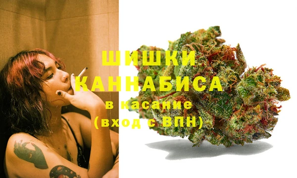 эйфоретик Алексин