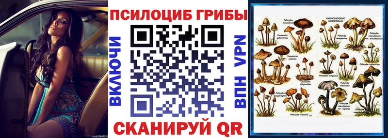 MEGA как войти  Сасово  Псилоцибиновые грибы Magic Shrooms 